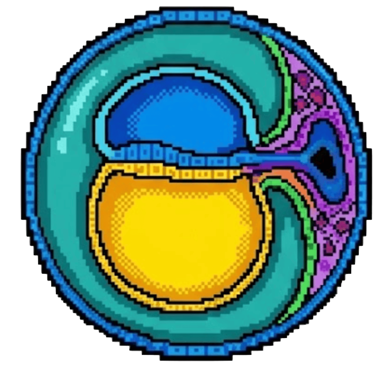Embrión Temprano 3